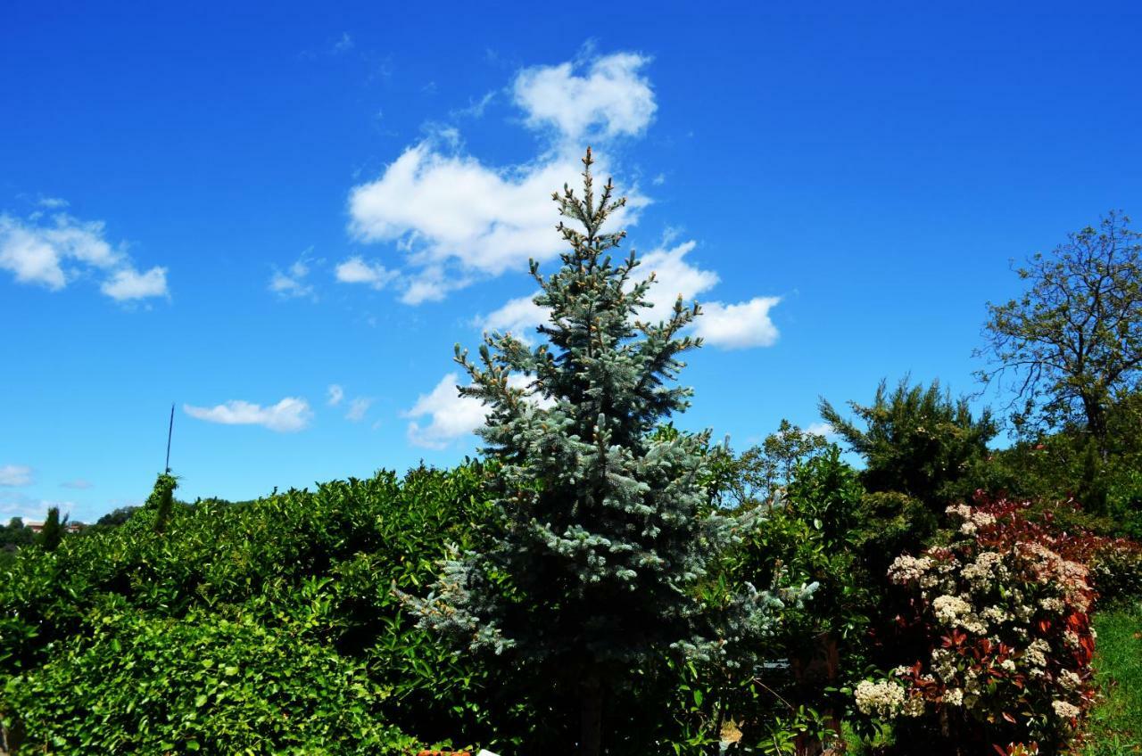 Casa Vacanze L'Agrifoglio Lägenhet Montefalcione Exteriör bild